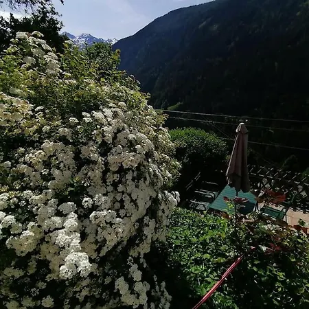 Sternberg