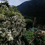 Sternberg